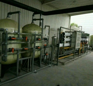 表面处理正能量黄色网站